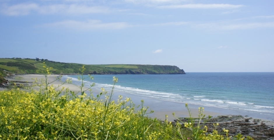 Top picnic spots in Cornwall - Carne Beach